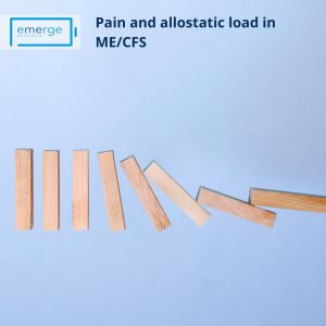 Recorded Webinar: Pain and allostatic load in ME/CFS